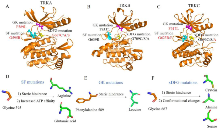 Figure 4