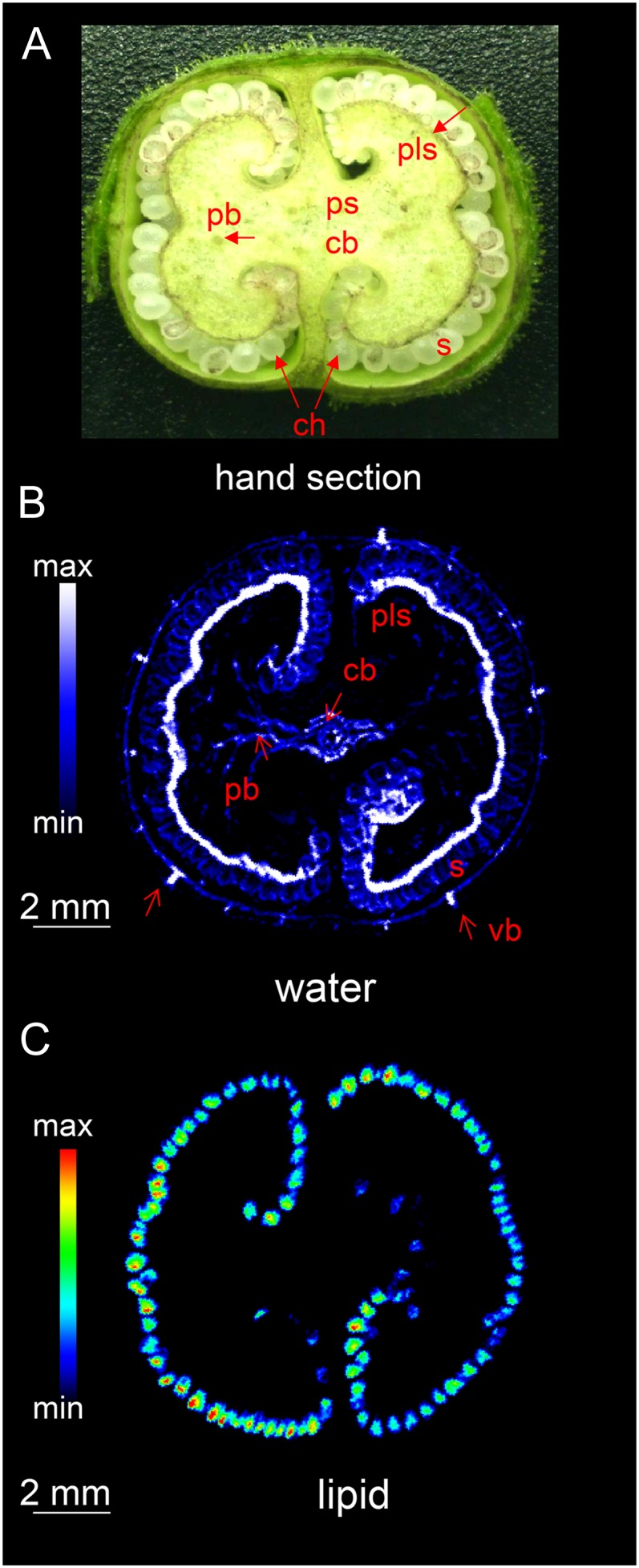 Figure 2.