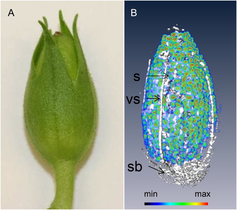 Figure 4.