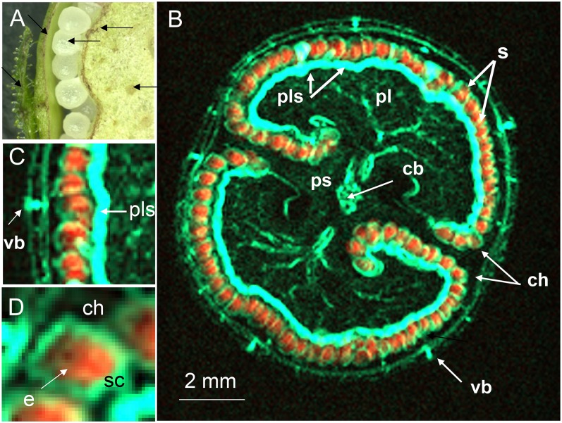 Figure 3.