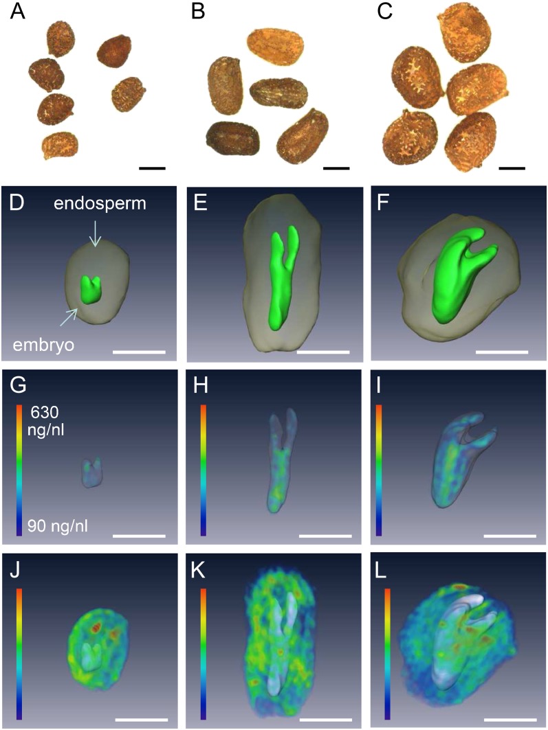 Figure 6.