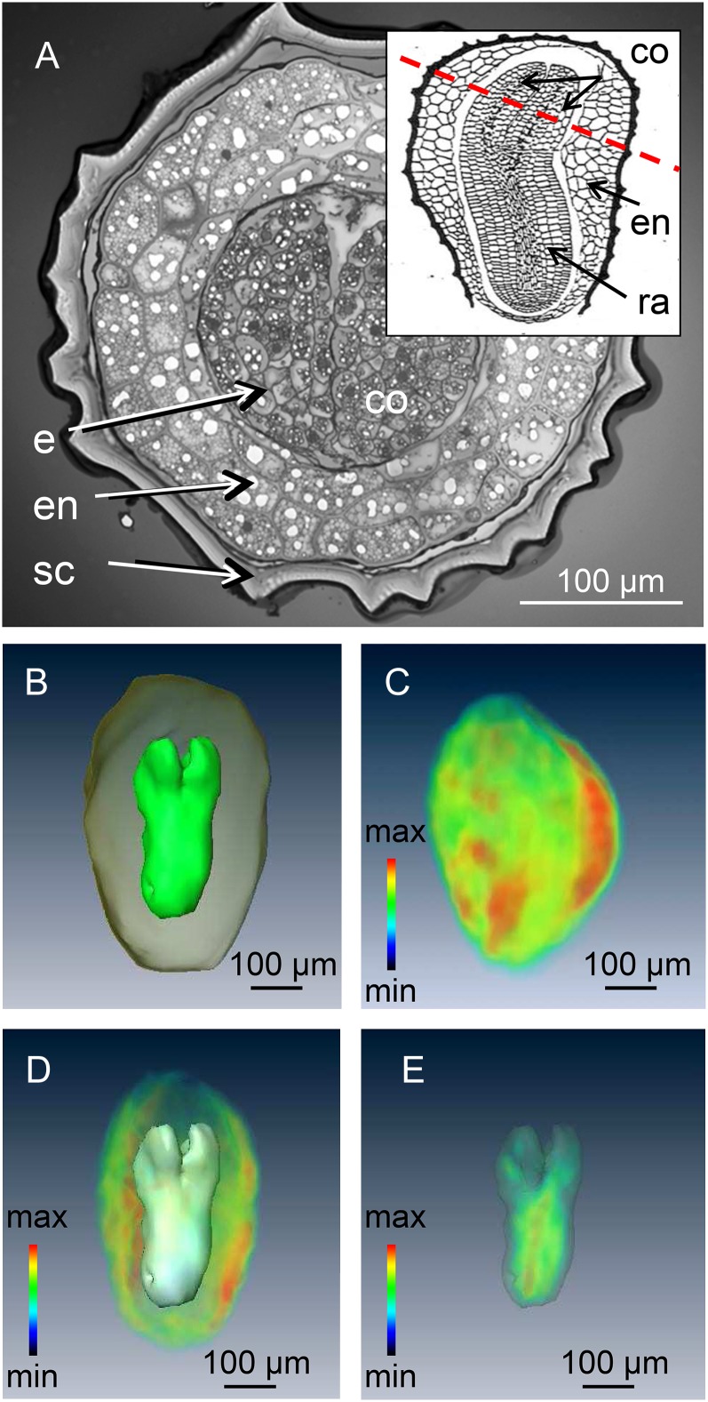 Figure 5.