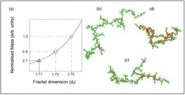 Fig. 1 (abstract P137).