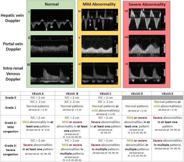 Fig. 1 (abstract P209).