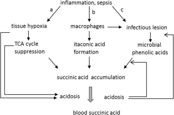 Fig. 1 (abstract P476).