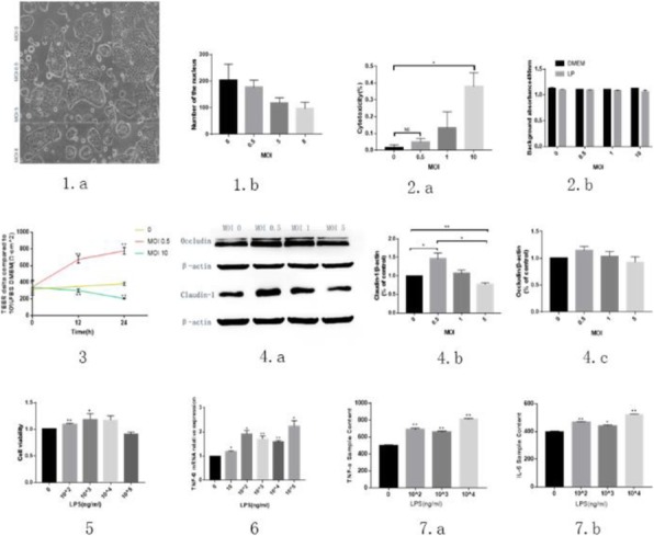 Fig. 1 (abstract P280).