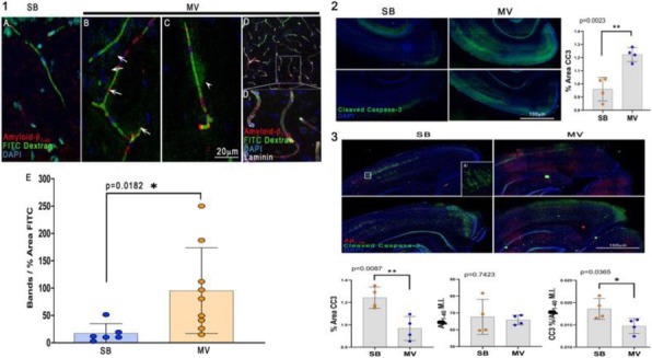 Fig. 1 (abstract P001).