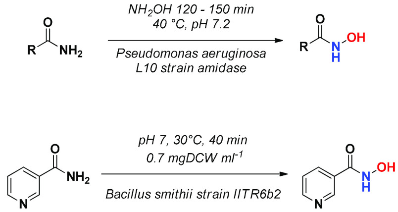 Scheme 3