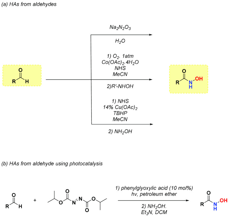 Scheme 4