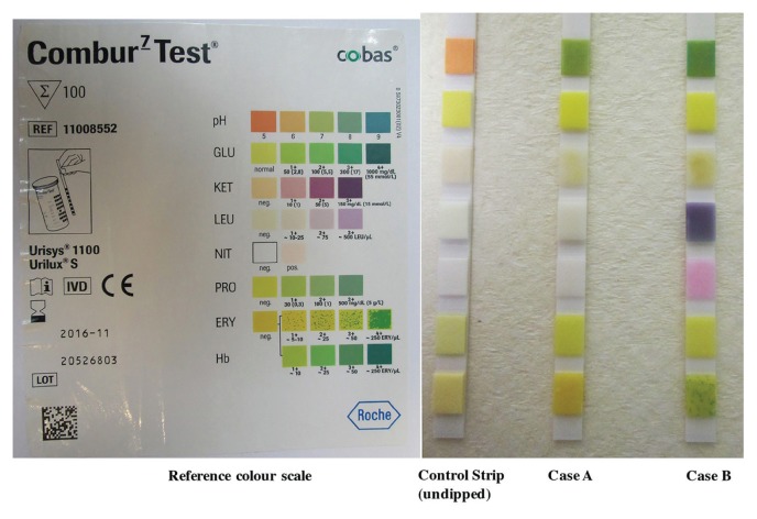 FIGURE 2