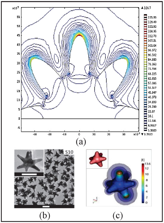 Fig. 1: