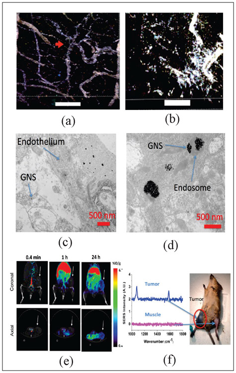 Fig. 2: