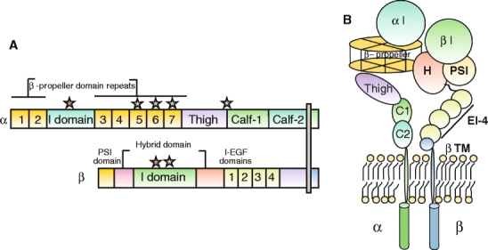 Fig. 3