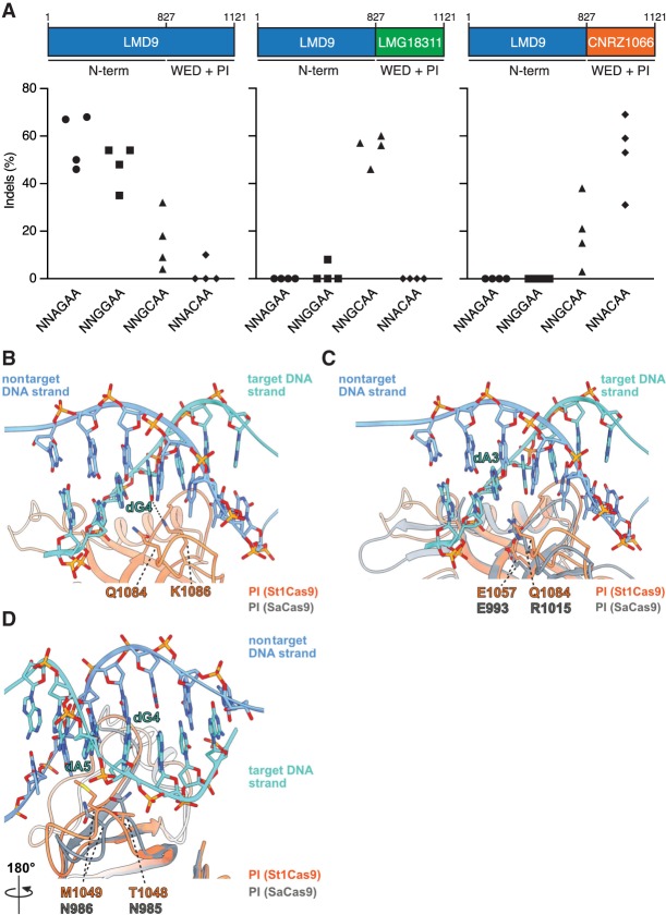 Figure 2.