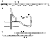FIG. 10.