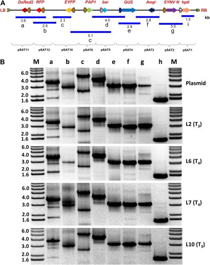 Figure 6.