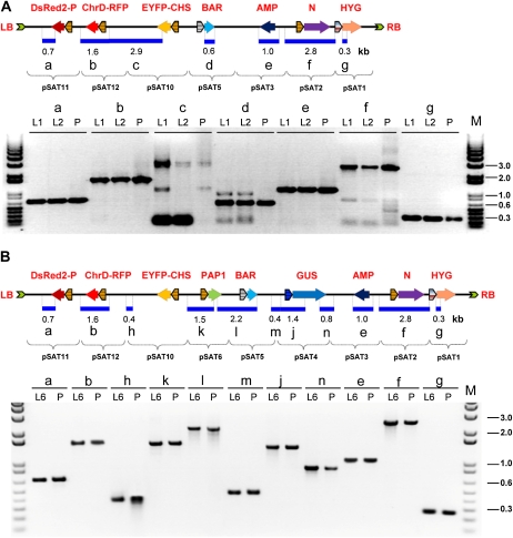 Figure 3.