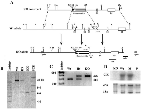 FIG. 1.