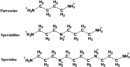 STRUCTURE 1.