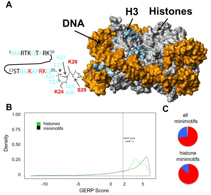 Figure 5.