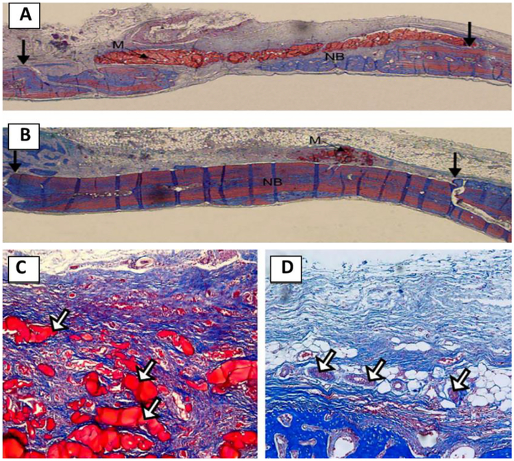 Figure 12.