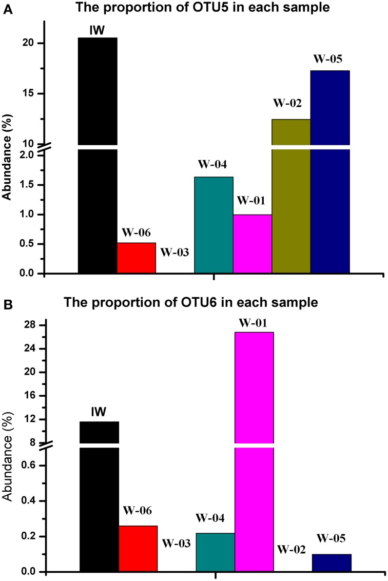 Figure 5