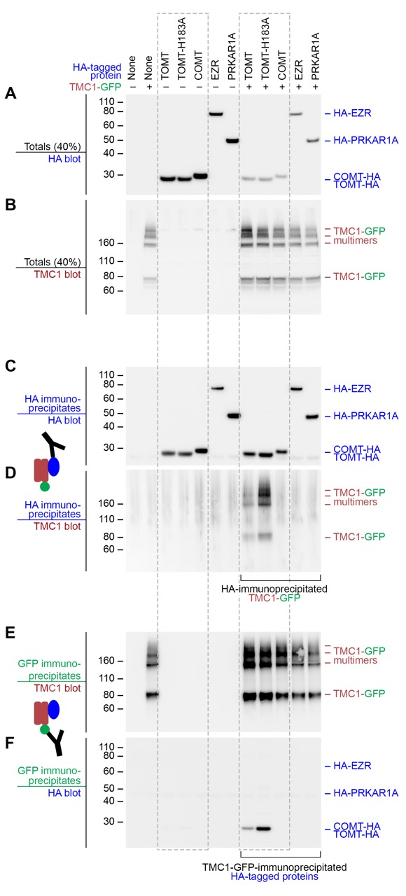 Figure 10.