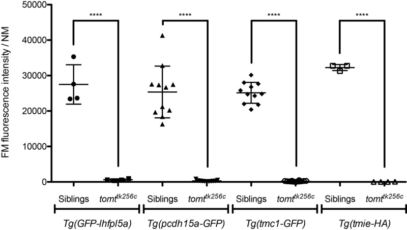 Figure 9—figure supplement 2.