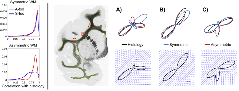 Fig. 6