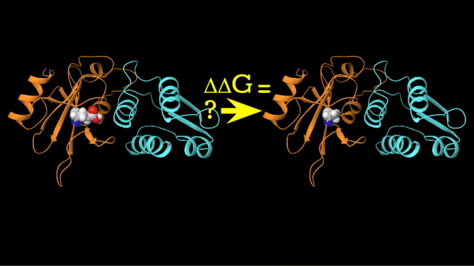 Unlabelled Image