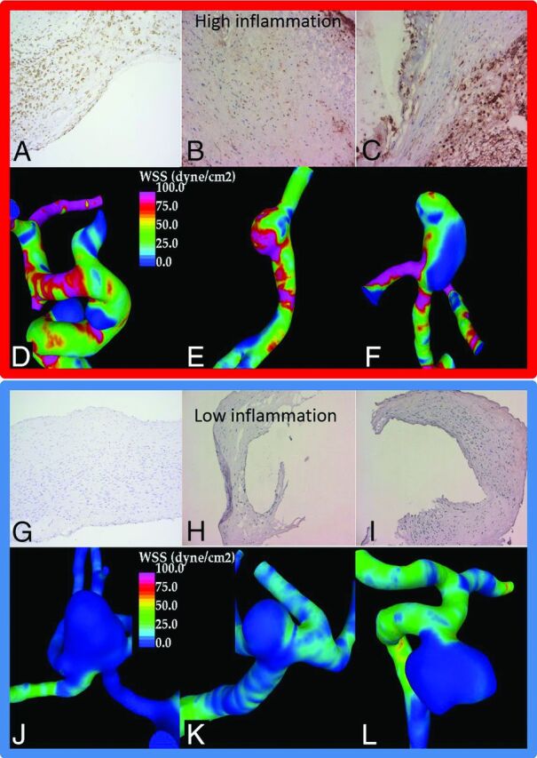 Fig 3.