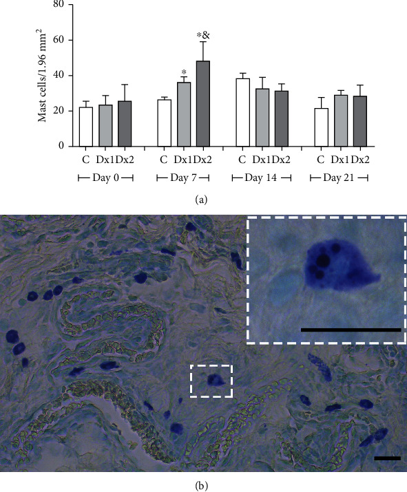 Figure 6