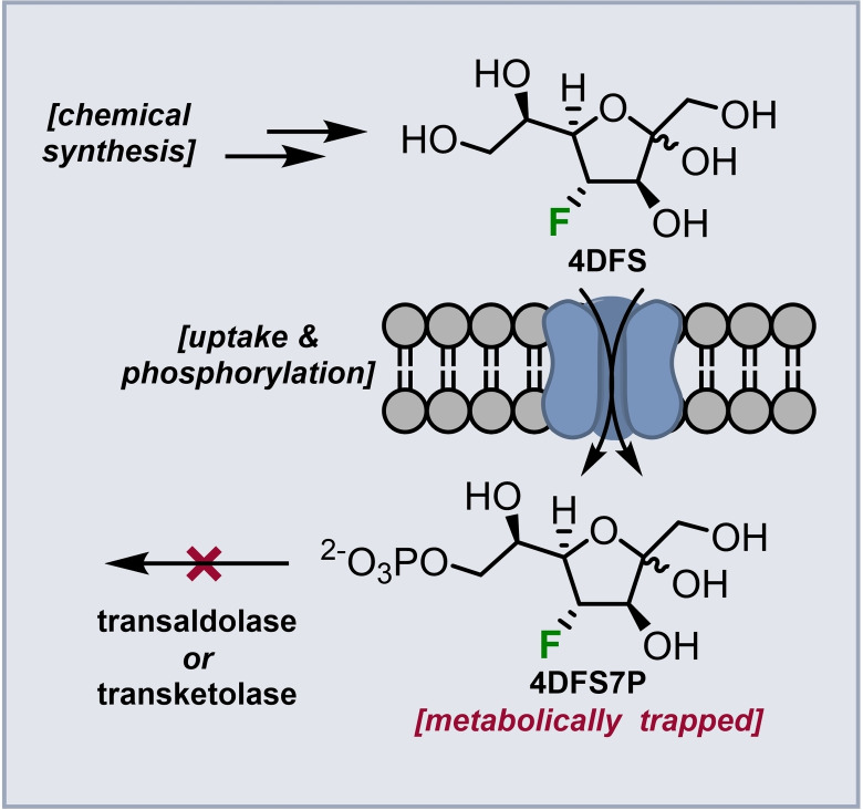 graphic file with name CHEM-29-0-g005.jpg