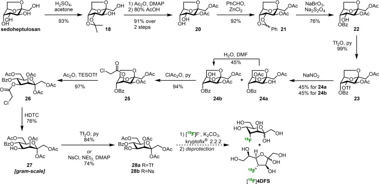 Scheme 5