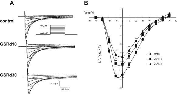 Fig. 2