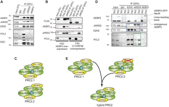 Fig. 2.