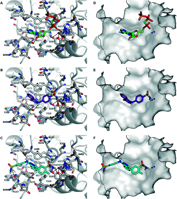 Fig. 7