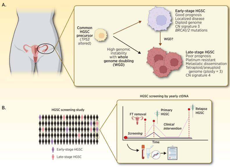 Figure 1. A, Summary of the proposed origins of early- and late-stage HGSC by Cheng and colleagues (1). B, Prospective HGSC screening by applying ctDNA based biomarkers to detect early-stage disease and facilitate longitudinal collection of precursor, blood, and HGSC biospecimens to enable ongoing HGSC research.