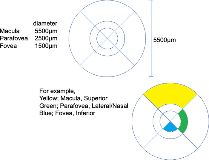 Fig 1