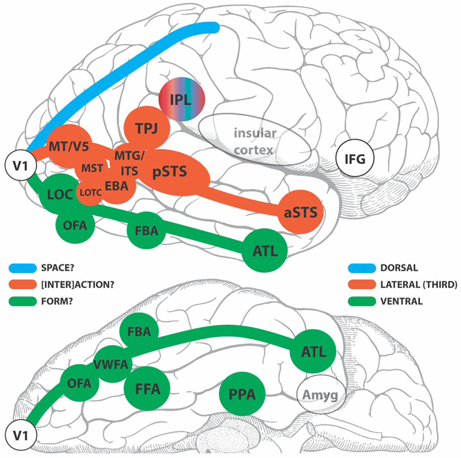 Figure 11.