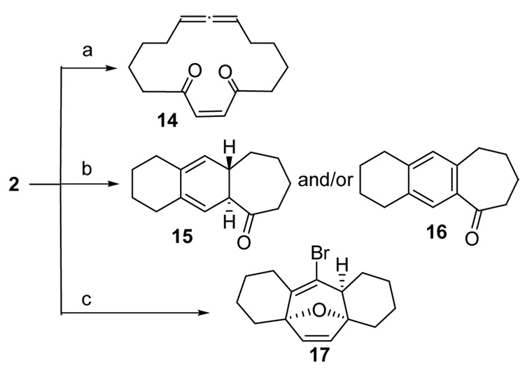 Scheme 4