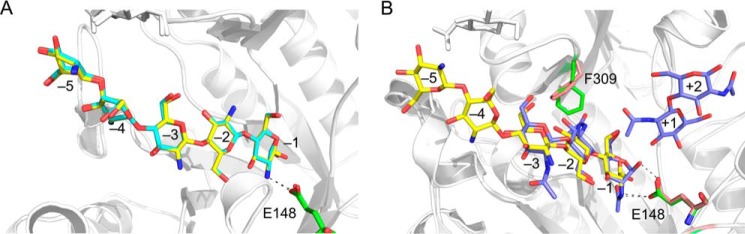 FIGURE 4.