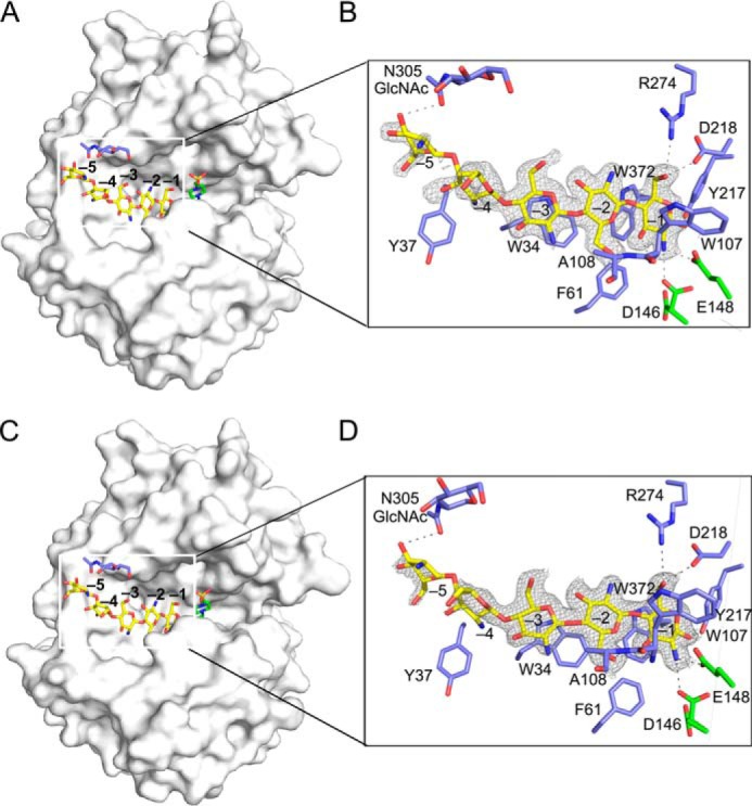 FIGURE 3.