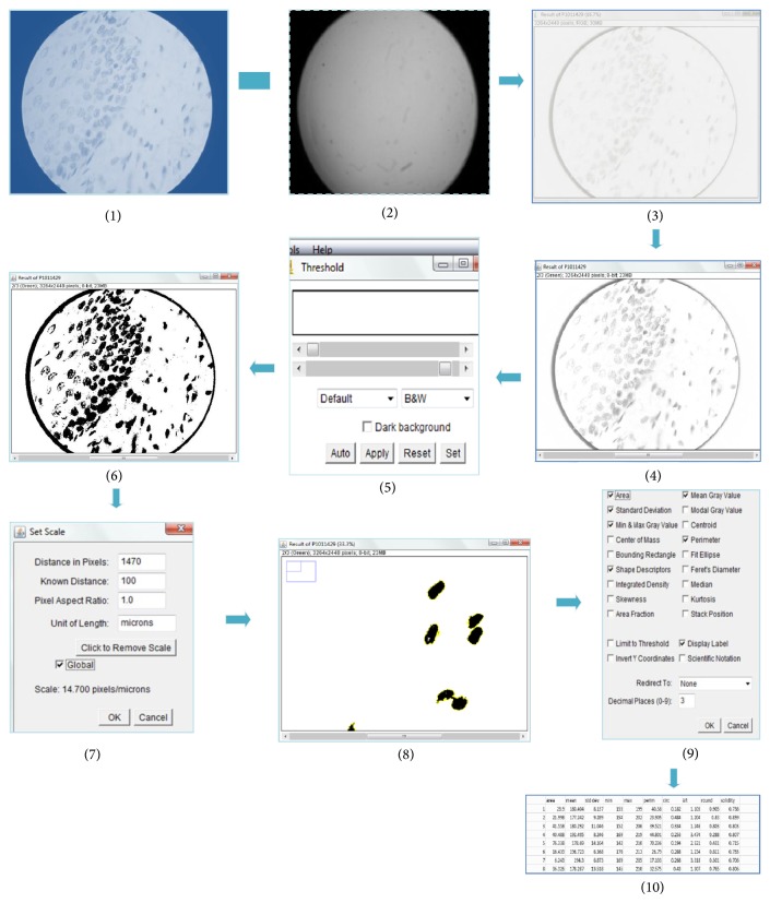 Figure 6