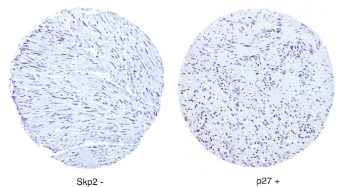 Fig. 5