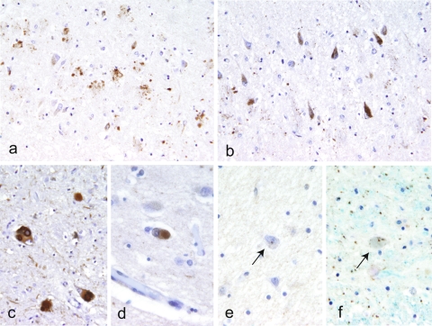 Fig. 3