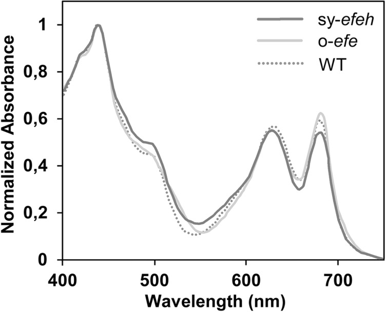 Fig. 4