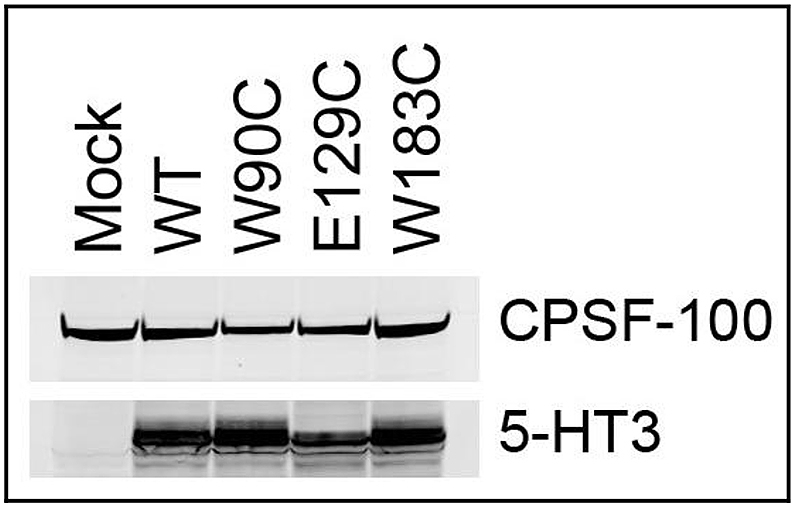 Fig. 4