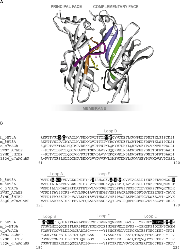 Fig. 1