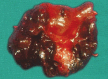 Fig. 2: